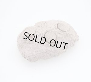 画像1: MicroRock 4　(Alternative Reef) (1)