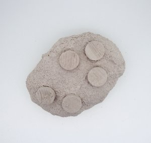 画像2: FragStation 5 (Alternative Reef) (2)