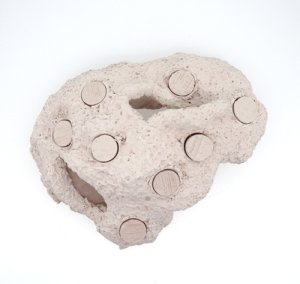 画像2: MicroRock 8　(Alternative Reef) (2)