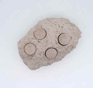 画像2: MicroRock 4 (Alternative Reef) (2)