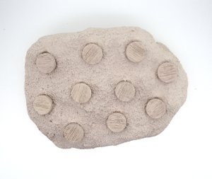 画像2: FragStation 10　(Alternative Reef) (2)