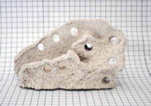 画像3: (Alternative Reef) マグネット付 FragStation nano (3)