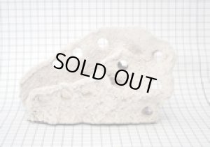 画像3: (Alternative Reef) マグネット付　FragStation (3)