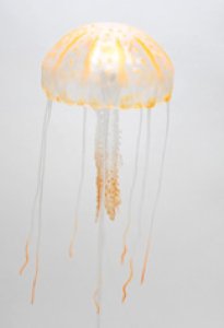 画像1: 【ESHOPPS】jelly fishes-Lサイズ　オレンジ (1)