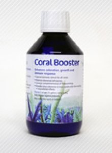 画像1: Coral Booster (1)