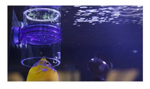 画像3: DEFROSTER Inovative Marine (イノベートマリン デフロスター 冷凍餌用) (3)