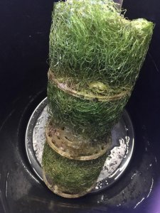 画像11: SeaWeedReactor 内部式(各種) (11)