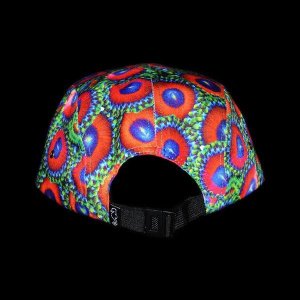 画像2: Zoanthid Five Panel Hat (Black Brim) (2)