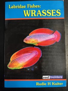 画像1: WRASSES(ベラの本) ReefBuildersSpecialEdition (1)