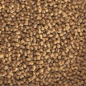 画像5: DKI マリンフード (easyreef) (5)