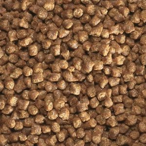 画像6: DKI マリンフード (easyreef) (6)