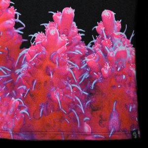 画像3: Pink Acropora Coral Tシャツ(S.M.L.XL.XXL) (3)