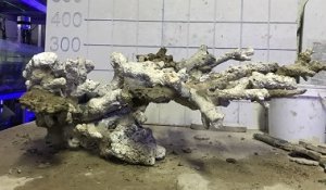 画像3: LiveRockScapingCement900g ライブロック スケービング セメント (3)