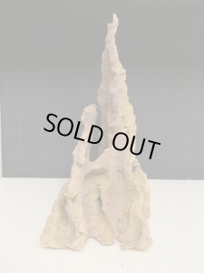 画像2: (2025移転SALE) CeramECO VidaRock  2点で送料無料 (L3) (2)