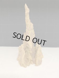 画像2: (2025移転SALE) CeramECO VidaRock  2点で送料無料 (L10) (2)