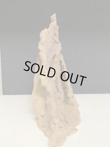 画像4: (2025移転SALE) CeramECO VidaRock  2点で送料無料 (L3) (4)