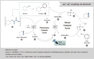 画像4: Photoredox KSPR160L シリーズ (Kessil) PR160  (一部SALE中) (4)