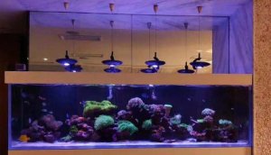 画像4: UFOLight  淡水・海水　& パーツ(zetlight) (4)