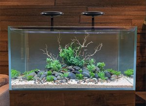 画像2: UFOLight  淡水・海水　& パーツ(zetlight) (2)