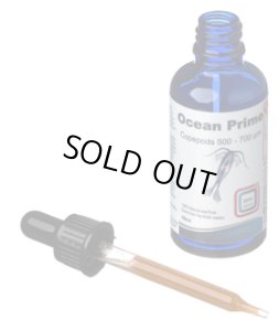 画像1: DVH  生コペポーダ　Ocean Prime　50ml (1)
