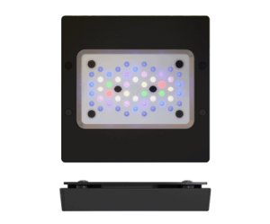 画像2: Radion G6 XR15  PRO/BLUE (2)