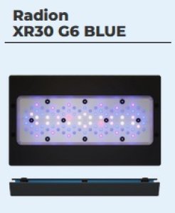 画像1: (弊社テスト機のため処分価格品) Radion G6 BLUE XR30 (1)