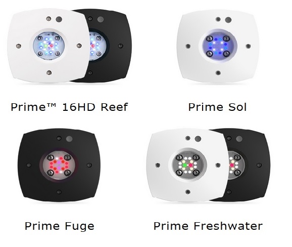 Prime 16HD / sol / fuge / freshwater　 (AI プライムシリーズ)